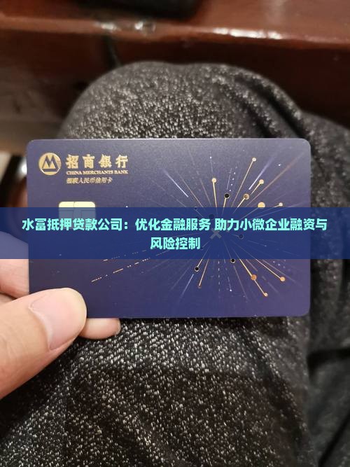 水富抵押贷款公司：优化金融服务 助力小微企业融资与风险控制