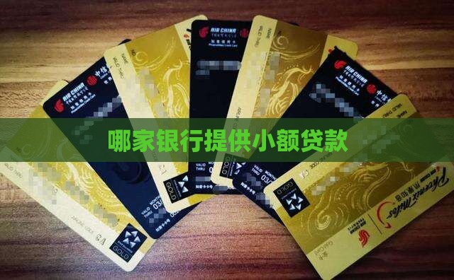 哪家银行提供小额贷款
