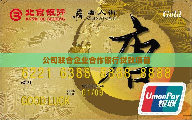 公司联合企业合作银行贷款项目