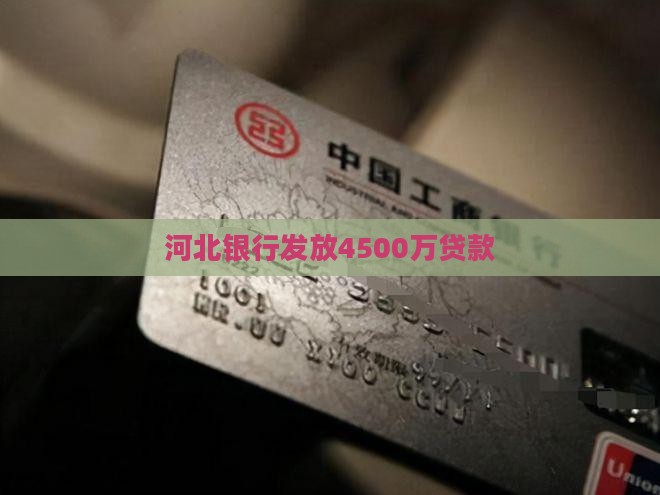 河北银行发放4500万贷款