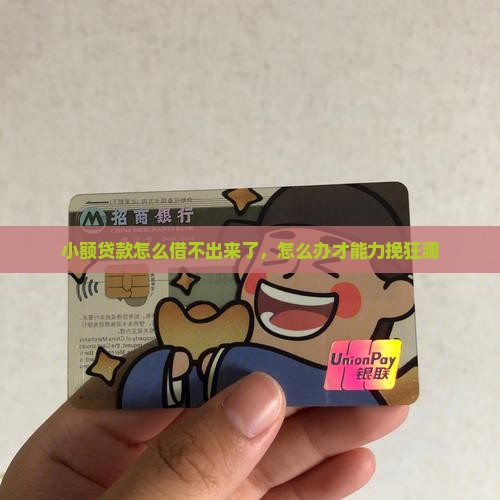 小额贷款怎么借不出来了，怎么办才能力挽狂澜
