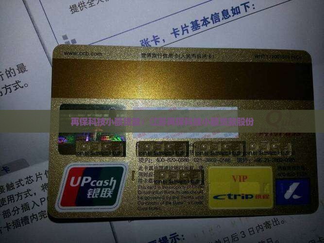 再保科技小额贷款：江苏再保科技小额贷款股份