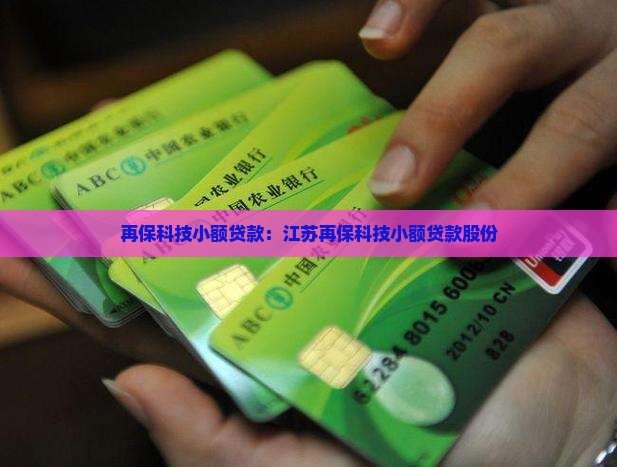 再保科技小额贷款：江苏再保科技小额贷款股份