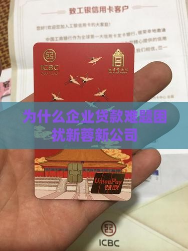 为什么企业贷款难题困扰新蓉新公司