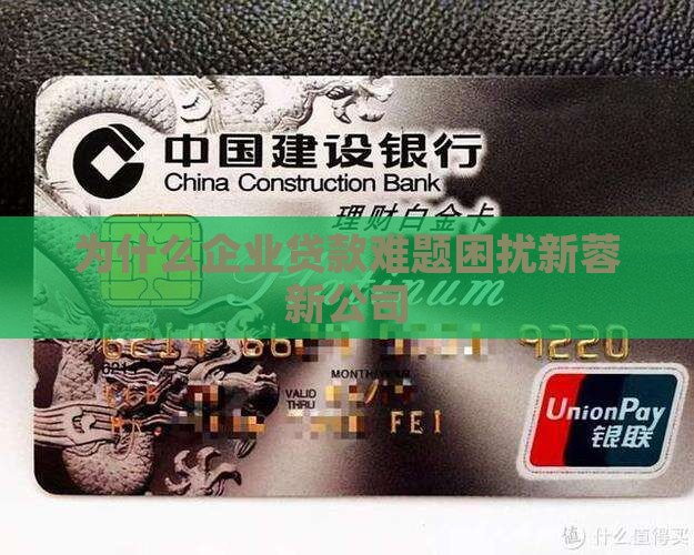 为什么企业贷款难题困扰新蓉新公司