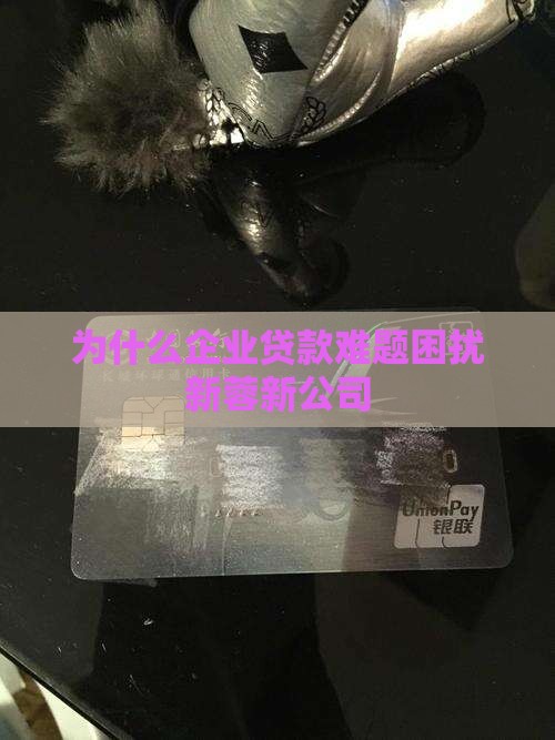 为什么企业贷款难题困扰新蓉新公司