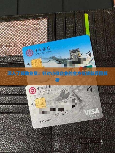 深入了解助业贷：针对小微企业的全方位贷款项目解析