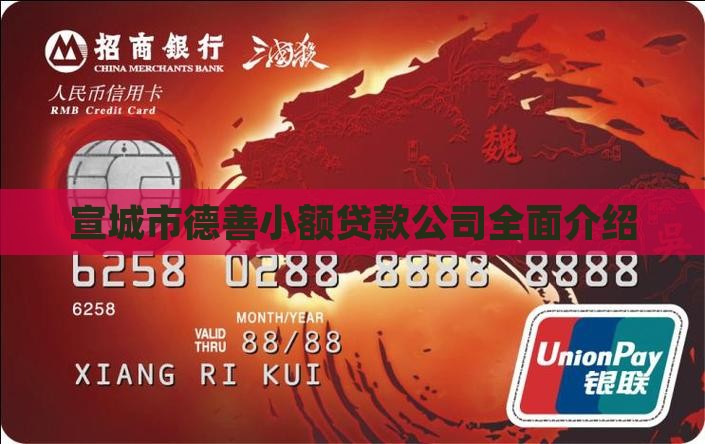 宣城市德善小额贷款公司全面介绍