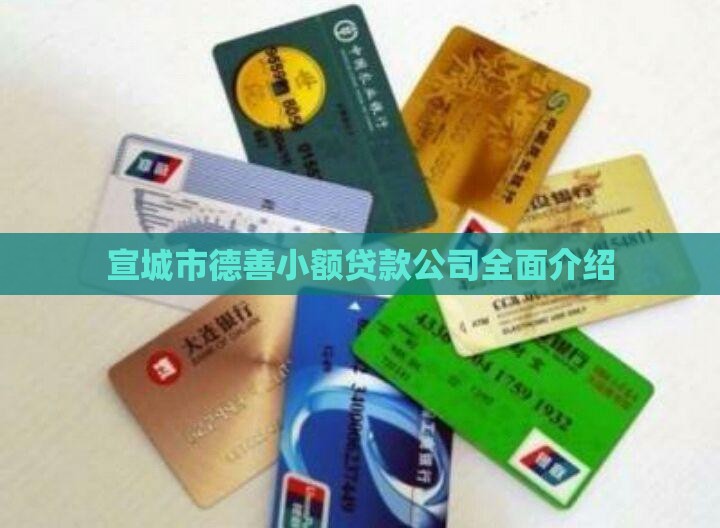 宣城市德善小额贷款公司全面介绍