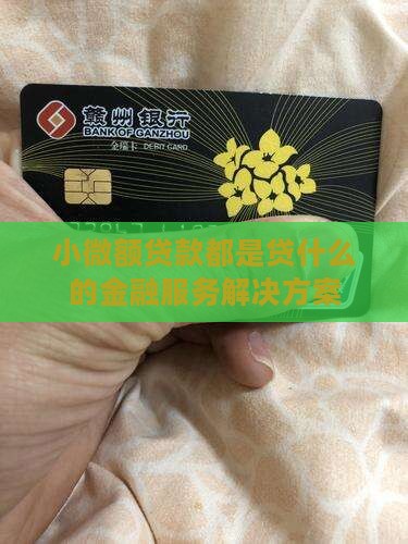 小微额贷款都是贷什么的金融服务解决方案