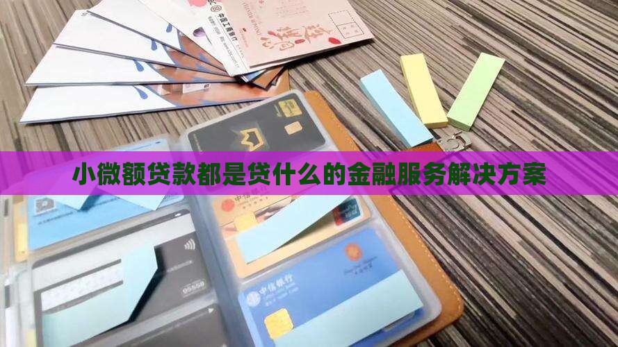 小微额贷款都是贷什么的金融服务解决方案