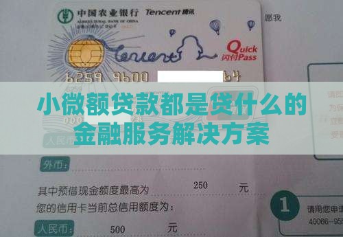 小微额贷款都是贷什么的金融服务解决方案