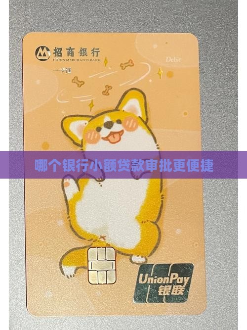 哪个银行小额贷款审批更便捷
