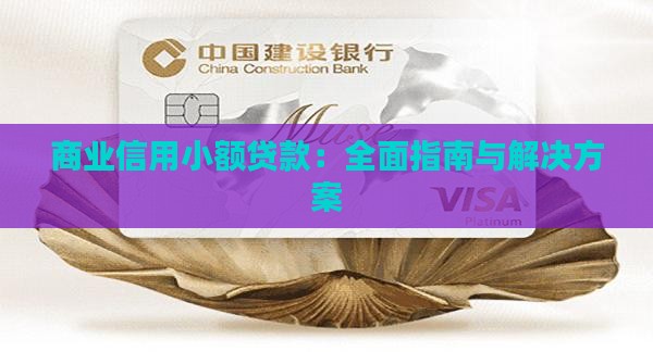 商业信用小额贷款：全面指南与解决方案