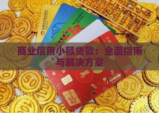 商业信用小额贷款：全面指南与解决方案