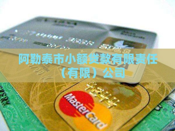 阿勒泰市小额贷款有限责任（有限）公司