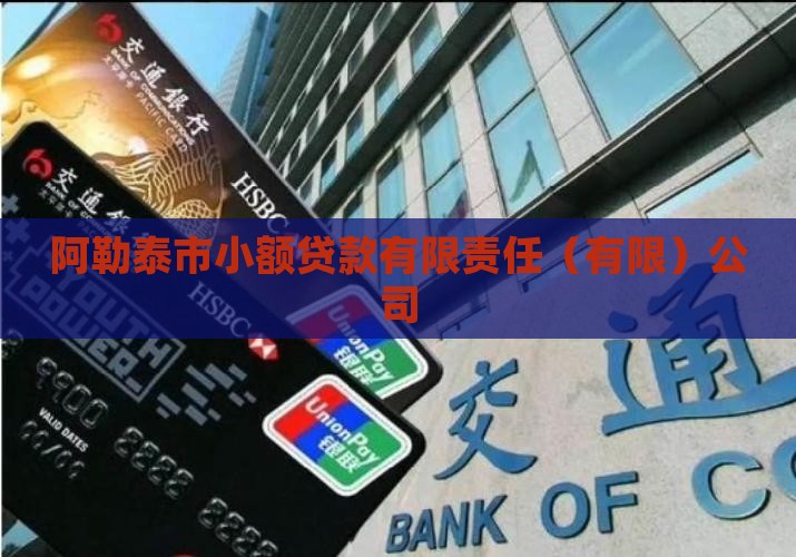 阿勒泰市小额贷款有限责任（有限）公司