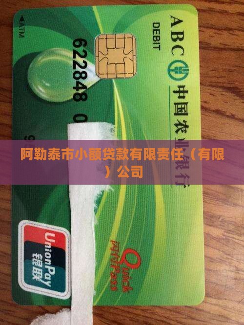 阿勒泰市小额贷款有限责任（有限）公司