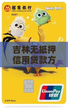 吉林无抵押信用贷款方案