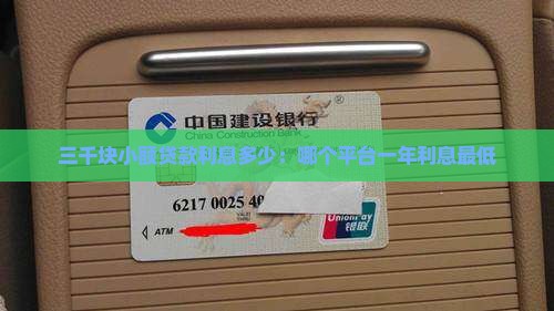 三千块小额贷款利息多少：哪个平台一年利息最低