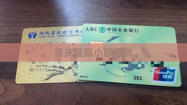 重庆星雨小额贷款