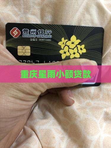 重庆星雨小额贷款