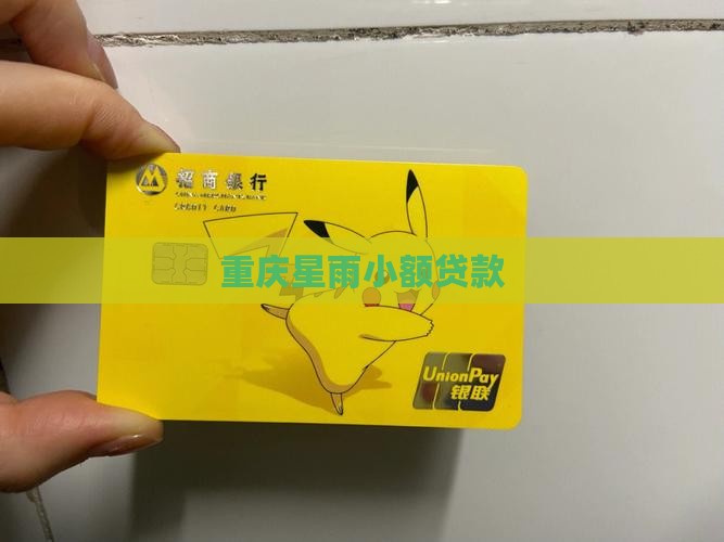 重庆星雨小额贷款