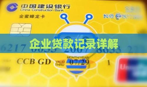 企业贷款记录详解