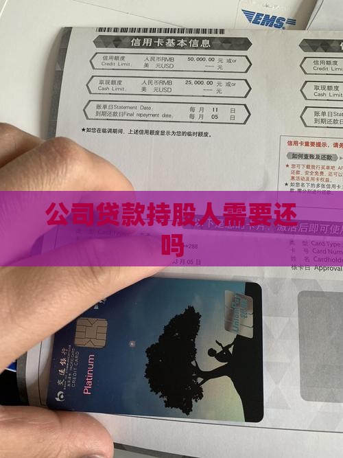 公司贷款持股人需要还吗