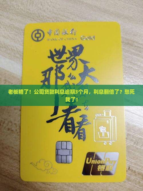 公司贷款利息逾期了