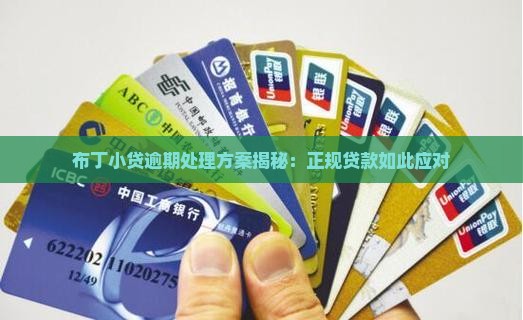布丁小贷是正规贷款吗