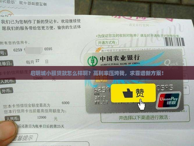 启明城小额贷款怎么样啊