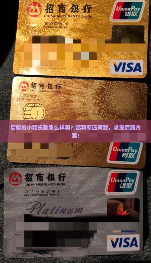 启明城小额贷款怎么样啊