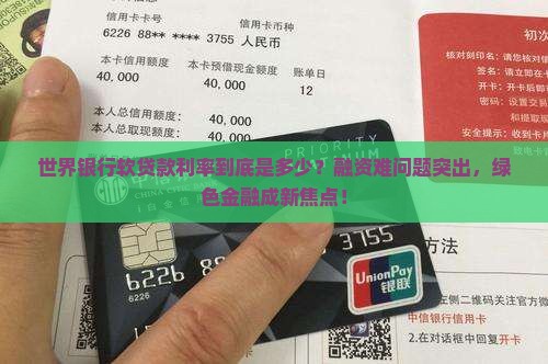 世界银行软贷款利率