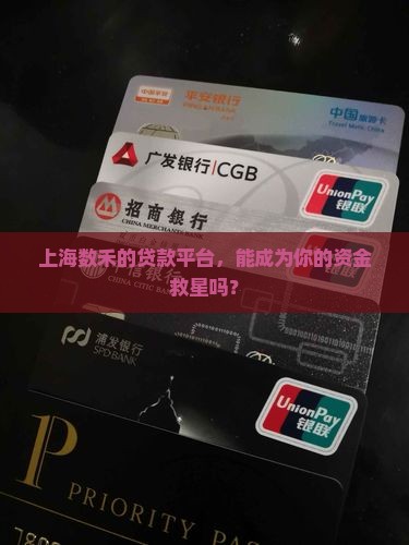上海数禾的贷款平台