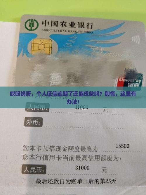 个人征信逾期了怎么贷款