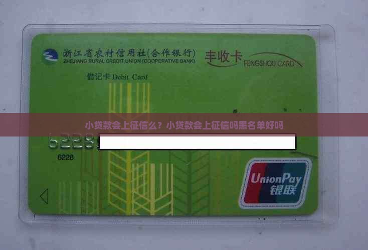 小贷款会上征信么