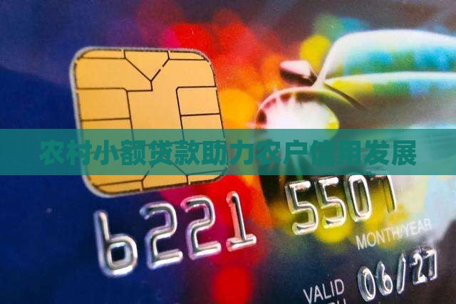 农村发放小额贷款