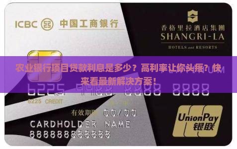 农业银行项目贷款利息