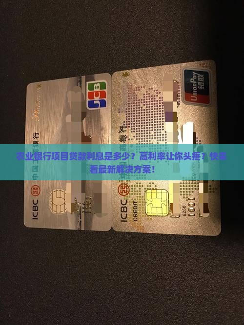 农业银行项目贷款利息