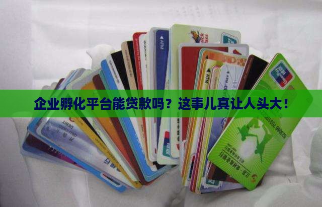 企业孵化平台可以贷款吗