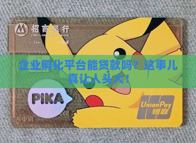 企业孵化平台可以贷款吗