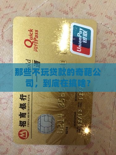 不放贷款的公司