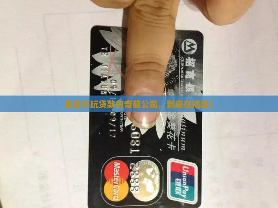 不放贷款的公司
