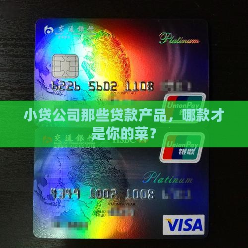 小贷公司贷款清单