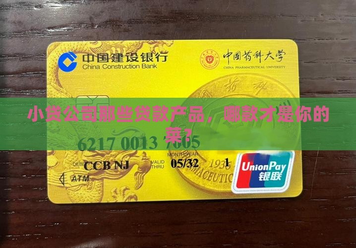 小贷公司贷款清单