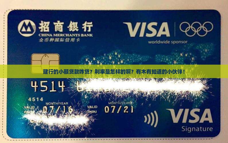 建行小额贷款怎么贷利率