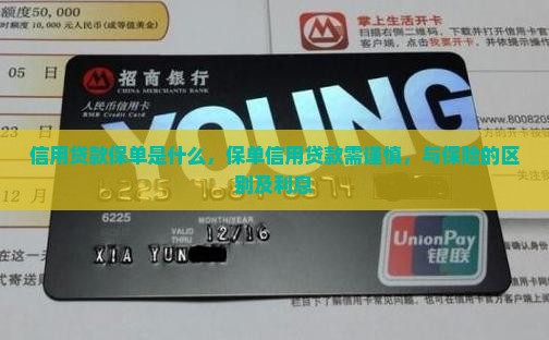 信用贷款保单是什么