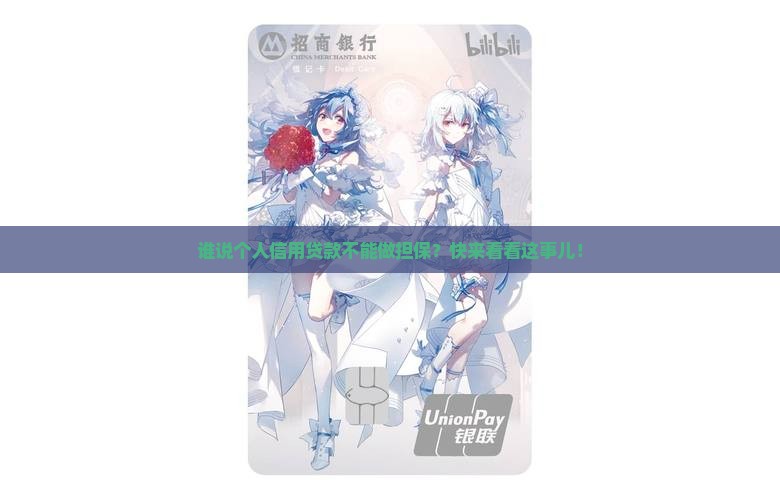 个人信用贷款做担保