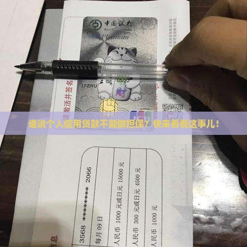 个人信用贷款做担保